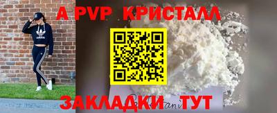 Альфа ПВП Будённовск