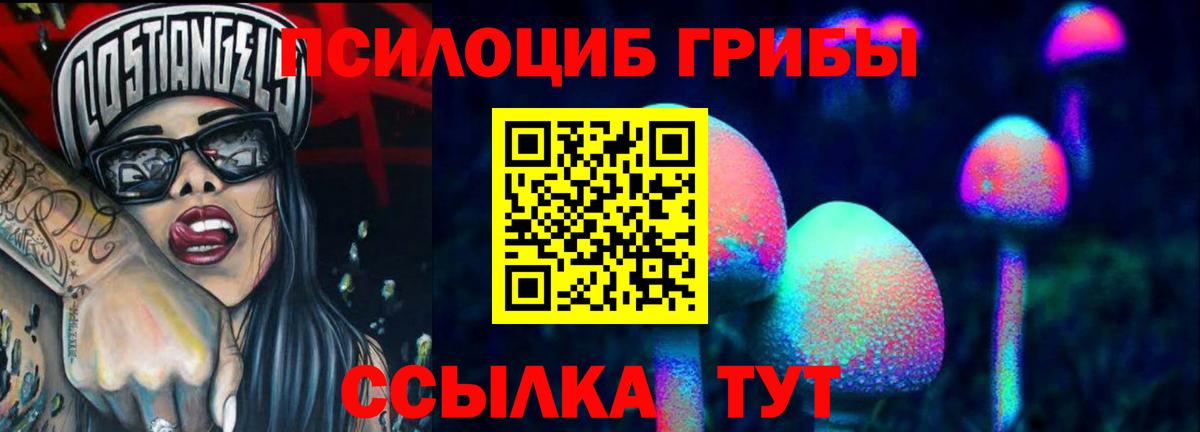 Псилоцибиновые грибы GOLDEN TEACHER Серов
